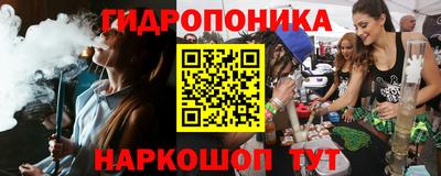 spice Кунгур